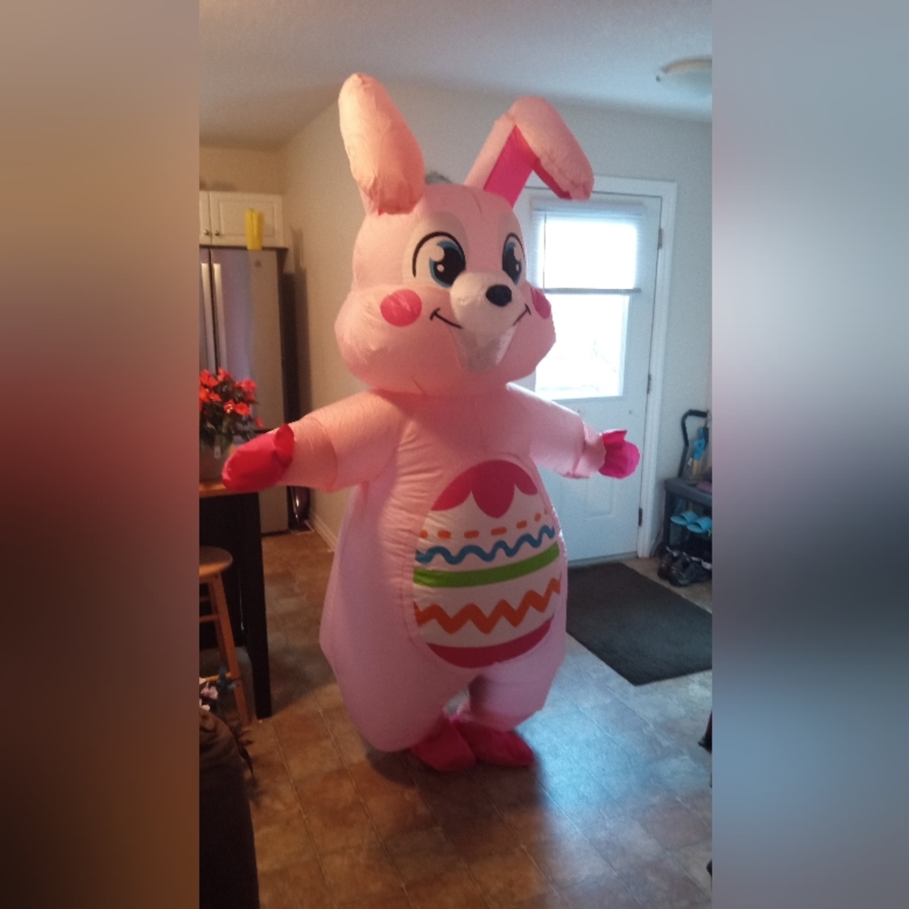 Pink Easter Bunny Inflatable Costume - Men Other - Picture 6 of 8